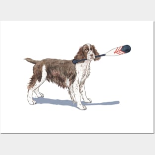 English Springer Spaniel with Oar! Posters and Art